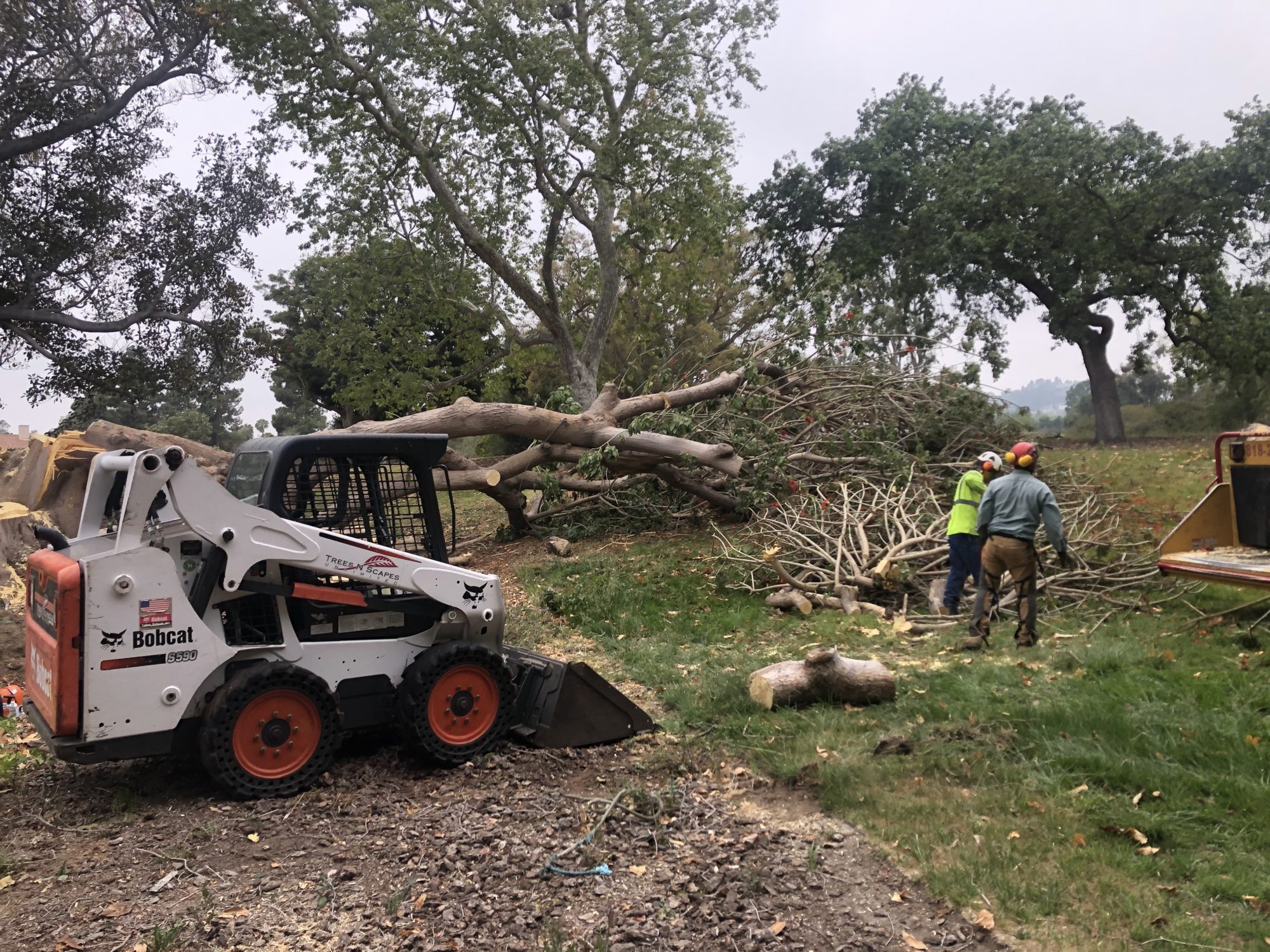 Land Clearing Services in Bentonville, AR Trees N Scapes Unlimited